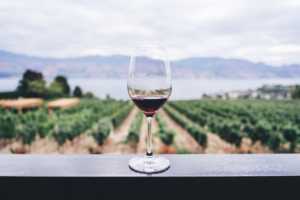 土着品種のワインの特徴